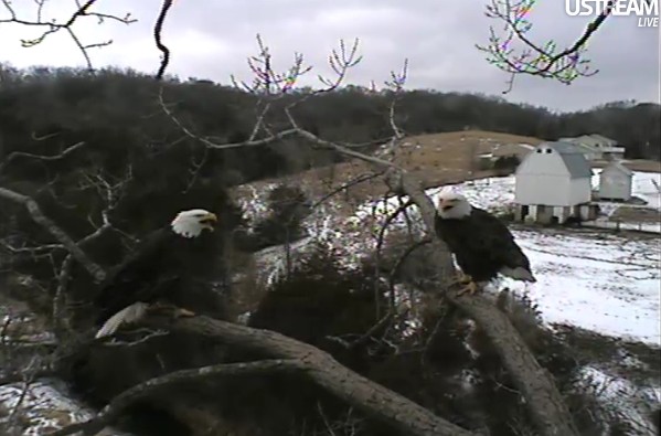 ScreenHunter_37 Feb. 21 11.18.jpg